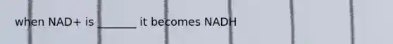 when NAD+ is _______ it becomes NADH