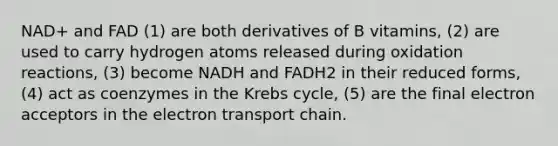 NAD+ and FAD (1) are both derivatives of B vitamins, (2) are used to carry hydrogen atoms released during oxidation reactions, (3) become NADH and FADH2 in their reduced forms, (4) act as coenzymes in the Krebs cycle, (5) are the final electron acceptors in the electron transport chain.