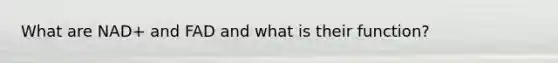 What are NAD+ and FAD and what is their function?