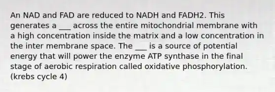 An NAD and FAD are reduced to NADH and FADH2. This generates a ___ across the entire mitochondrial membrane with a high concentration inside the matrix and a low concentration in the inter membrane space. The ___ is a source of potential energy that will power the enzyme ATP synthase in the final stage of aerobic respiration called oxidative phosphorylation. (krebs cycle 4)