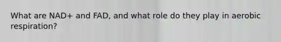 What are NAD+ and FAD, and what role do they play in aerobic respiration?
