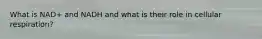 What is NAD+ and NADH and what is their role in cellular respiration?