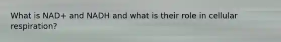 What is NAD+ and NADH and what is their role in cellular respiration?