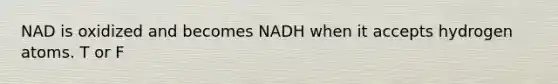 NAD is oxidized and becomes NADH when it accepts hydrogen atoms. T or F