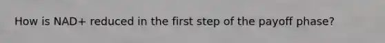How is NAD+ reduced in the first step of the payoff phase?
