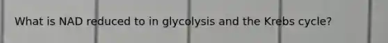 What is NAD reduced to in glycolysis and the Krebs cycle?