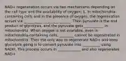 NAD+ regeneration occurs via two mechanisms depending on the cell type and the availability of oxygen: 1. In mitochondria-containing cells and in the presence of oxygen, the regeneration occurs via __________ _________ ______. Then pyruvate is the end product of glycolysis, and the pyruvate gets ___________ in mitochondria. When oxygen is not available, even in mitochondria-containing cells, ________ cannot be regenerated in mitochondria. Then the only way to regenerate NAD+ and keep glycolysis going is to convert pyruvate into __________ using NADH. This process occurs in _____________ and also regenerates NAD+