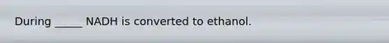 During _____ NADH is converted to ethanol.