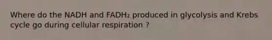 Where do the NADH and FADH₂ produced in glycolysis and Krebs cycle go during cellular respiration ?