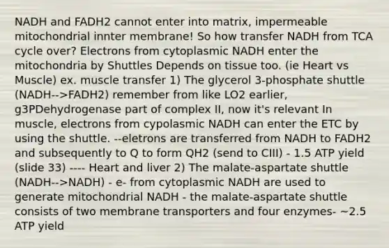 NADH and FADH2 cannot enter into matrix, impermeable mitochondrial innter membrane! So how transfer NADH from TCA cycle over? Electrons from cytoplasmic NADH enter the mitochondria by Shuttles Depends on tissue too. (ie Heart vs Muscle) ex. muscle transfer 1) The glycerol 3-phosphate shuttle (NADH-->FADH2) remember from like LO2 earlier, g3PDehydrogenase part of complex II, now it's relevant In muscle, electrons from cypolasmic NADH can enter the ETC by using the shuttle. --eletrons are transferred from NADH to FADH2 and subsequently to Q to form QH2 (send to CIII) - 1.5 ATP yield (slide 33) ---- Heart and liver 2) The malate-aspartate shuttle (NADH-->NADH) - e- from cytoplasmic NADH are used to generate mitochondrial NADH - the malate-aspartate shuttle consists of two membrane transporters and four enzymes- ~2.5 ATP yield