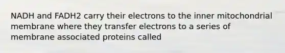 NADH and FADH2 carry their electrons to the inner mitochondrial membrane where they transfer electrons to a series of membrane associated proteins called