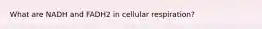 What are NADH and FADH2 in cellular respiration?