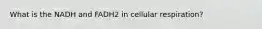 What is the NADH and FADH2 in cellular respiration?