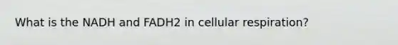 What is the NADH and FADH2 in cellular respiration?