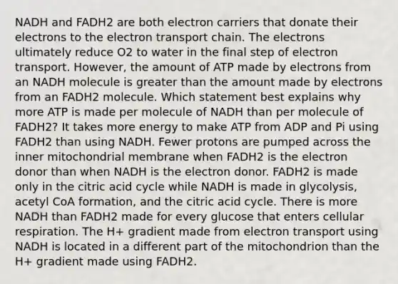 NADH and FADH2 are both electron carriers that donate their electrons to <a href='https://www.questionai.com/knowledge/k57oGBr0HP-the-electron-transport-chain' class='anchor-knowledge'>the electron transport chain</a>. The electrons ultimately reduce O2 to water in the final step of electron transport. However, the amount of ATP made by electrons from an NADH molecule is greater than the amount made by electrons from an FADH2 molecule. Which statement best explains why more ATP is made per molecule of NADH than per molecule of FADH2? It takes more energy to make ATP from ADP and Pi using FADH2 than using NADH. Fewer protons are pumped across the inner mitochondrial membrane when FADH2 is the electron donor than when NADH is the electron donor. FADH2 is made only in the citric acid cycle while NADH is made in glycolysis, acetyl CoA formation, and the citric acid cycle. There is more NADH than FADH2 made for every glucose that enters cellular respiration. The H+ gradient made from electron transport using NADH is located in a different part of the mitochondrion than the H+ gradient made using FADH2.