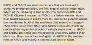 NADH and FADH2 are electron carriers that are involved in oxidative phosphorylation, the final step of cellular respiration. Which of the following is true of electron carriers NADH and FADH2? Choose 1 answer: a. FADH2 is a better electron donor than NADH because it allows more H+ ions to be pumped across the membrane. b. All of the electrons that enter the transport chain (ETC) come from NADH and FADH2 molecules which are produced during earlier phases of cellular respiration. c. NADH and FADH2 are single-use molecules so once they donate their electrons, they cannot be used again. d. NADH is the oxidized form of NAD+ and FADH2 is the reduced form of FADH.