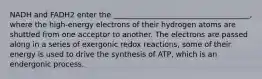 NADH and FADH2 enter the _____________________________________, where the high-energy electrons of their hydrogen atoms are shuttled from one acceptor to another. The electrons are passed along in a series of exergonic redox reactions, some of their energy is used to drive the synthesis of ATP, which is an endergonic process.