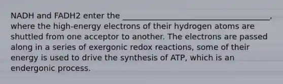 NADH and FADH2 enter the _____________________________________, where the high-energy electrons of their hydrogen atoms are shuttled from one acceptor to another. The electrons are passed along in a series of exergonic redox reactions, some of their energy is used to drive the synthesis of ATP, which is an endergonic process.