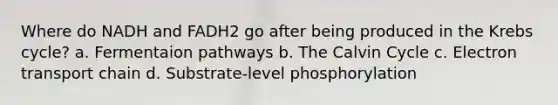 Where do NADH and FADH2 go after being produced in the <a href='https://www.questionai.com/knowledge/kqfW58SNl2-krebs-cycle' class='anchor-knowledge'>krebs cycle</a>? a. Fermentaion pathways b. The Calvin Cycle c. Electron transport chain d. Substrate-level phosphorylation