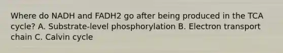 Where do NADH and FADH2 go after being produced in the TCA cycle? A. Substrate-level phosphorylation B. Electron transport chain C. Calvin cycle