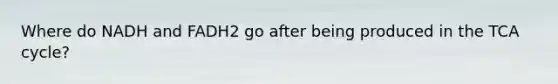Where do NADH and FADH2 go after being produced in the TCA cycle?