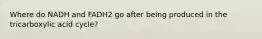 Where do NADH and FADH2 go after being produced in the tricarboxylic acid cycle?