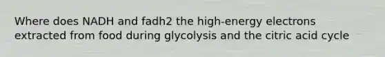 Where does NADH and fadh2 the high-energy electrons extracted from food during glycolysis and the citric acid cycle