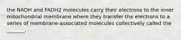 the NADH and FADH2 molecules carry their electrons to the inner mitochondrial membrane where they transfer the electrons to a series of membrane-associated molecules collectively called the _______.