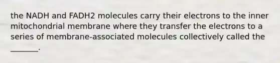 the NADH and FADH2 molecules carry their electrons to the inner mitochondrial membrane where they transfer the electrons to a series of membrane-associated molecules collectively called the _______.