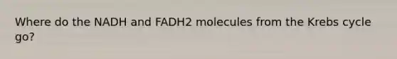 Where do the NADH and FADH2 molecules from the Krebs cycle go?