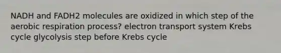 NADH and FADH2 molecules are oxidized in which step of the aerobic respiration process? <a href='https://www.questionai.com/knowledge/kbvjAonm6A-electron-transport-system' class='anchor-knowledge'>electron transport system</a> <a href='https://www.questionai.com/knowledge/kqfW58SNl2-krebs-cycle' class='anchor-knowledge'>krebs cycle</a> glycolysis step before Krebs cycle