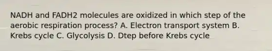 NADH and FADH2 molecules are oxidized in which step of the aerobic respiration process? A. Electron transport system B. Krebs cycle C. Glycolysis D. Dtep before Krebs cycle