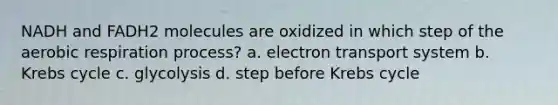 NADH and FADH2 molecules are oxidized in which step of the aerobic respiration process? a. electron transport system b. Krebs cycle c. glycolysis d. step before Krebs cycle