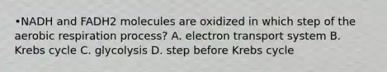 •NADH and FADH2 molecules are oxidized in which step of the aerobic respiration process? A. electron transport system B. Krebs cycle C. glycolysis D. step before Krebs cycle