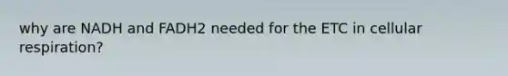 why are NADH and FADH2 needed for the ETC in cellular respiration?