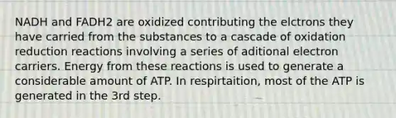 NADH and FADH2 are oxidized contributing the elctrons they have carried from the substances to a cascade of oxidation reduction reactions involving a series of aditional electron carriers. Energy from these reactions is used to generate a considerable amount of ATP. In respirtaition, most of the ATP is generated in the 3rd step.