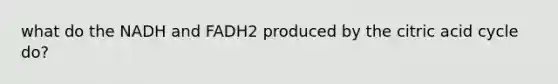 what do the NADH and FADH2 produced by the citric acid cycle do?