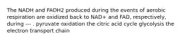 The NADH and FADH2 produced during the events of aerobic respiration are oxidized back to NAD+ and FAD, respectively, during --- . pyruvate oxidation the citric acid cycle glycolysis the electron transport chain