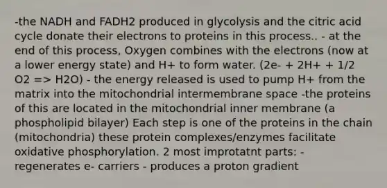 -the NADH and FADH2 produced in glycolysis and the citric acid cycle donate their electrons to proteins in this process.. - at the end of this process, Oxygen combines with the electrons (now at a lower energy state) and H+ to form water. (2e- + 2H+ + 1/2 O2 => H2O) - the energy released is used to pump H+ from the matrix into the mitochondrial intermembrane space -the proteins of this are located in the mitochondrial inner membrane (a phospholipid bilayer) Each step is one of the proteins in the chain (mitochondria) these protein complexes/enzymes facilitate oxidative phosphorylation. 2 most improtatnt parts: - regenerates e- carriers - produces a proton gradient