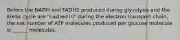 Before the NADH and FADH2 produced during glycolysis and the Krebs cycle are "cashed in" during the electron transport chain, the net number of ATP molecules produced per glucose molecule is ______ molecules.