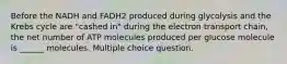 Before the NADH and FADH2 produced during glycolysis and the Krebs cycle are "cashed in" during the electron transport chain, the net number of ATP molecules produced per glucose molecule is ______ molecules. Multiple choice question.