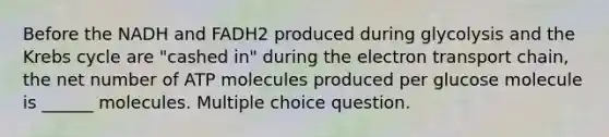 Before the NADH and FADH2 produced during glycolysis and the Krebs cycle are "cashed in" during the electron transport chain, the net number of ATP molecules produced per glucose molecule is ______ molecules. Multiple choice question.