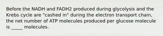 Before the NADH and FADH2 produced during glycolysis and the Krebs cycle are "cashed in" during the electron transport chain, the net number of ATP molecules produced per glucose molecule is _____ molecules.