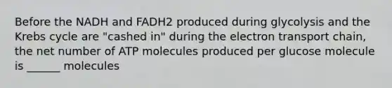 Before the NADH and FADH2 produced during glycolysis and the Krebs cycle are "cashed in" during the electron transport chain, the net number of ATP molecules produced per glucose molecule is ______ molecules