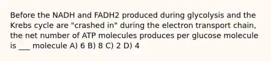 Before the NADH and FADH2 produced during glycolysis and the Krebs cycle are "crashed in" during the electron transport chain, the net number of ATP molecules produces per glucose molecule is ___ molecule A) 6 B) 8 C) 2 D) 4