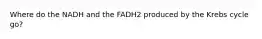 Where do the NADH and the FADH2 produced by the Krebs cycle go?