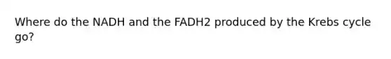 Where do the NADH and the FADH2 produced by the Krebs cycle go?