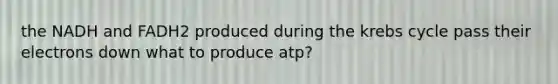 the NADH and FADH2 produced during the krebs cycle pass their electrons down what to produce atp?