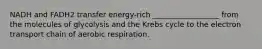 NADH and FADH2 transfer energy-rich __________________ from the molecules of glycolysis and the Krebs cycle to the electron transport chain of aerobic respiration.