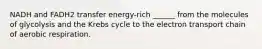 NADH and FADH2 transfer energy-rich ______ from the molecules of glycolysis and the Krebs cycle to the electron transport chain of aerobic respiration.